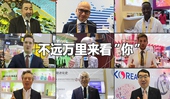 看快閃《不遠萬里來看“你”》，聽老外點贊進博會